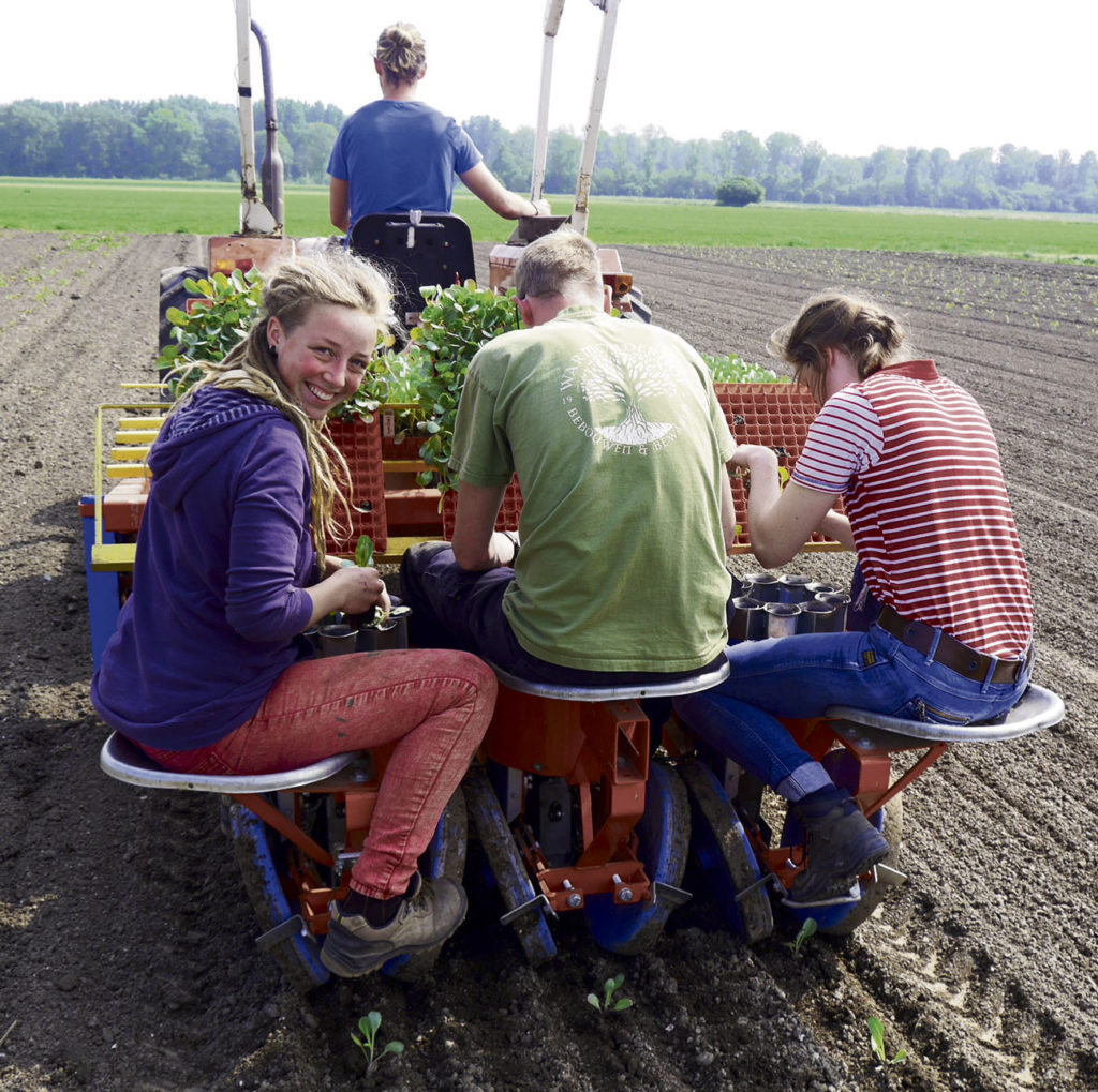 Krant van de aarde, inspiratie voor een duurzame leefstijl.