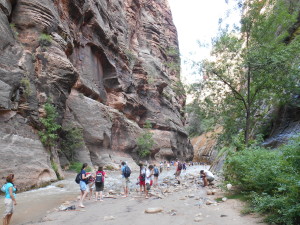 Zion The Narrows