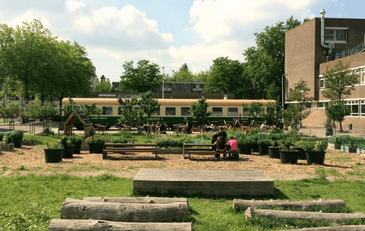 Groen Rotterdam Krant van de Aarde