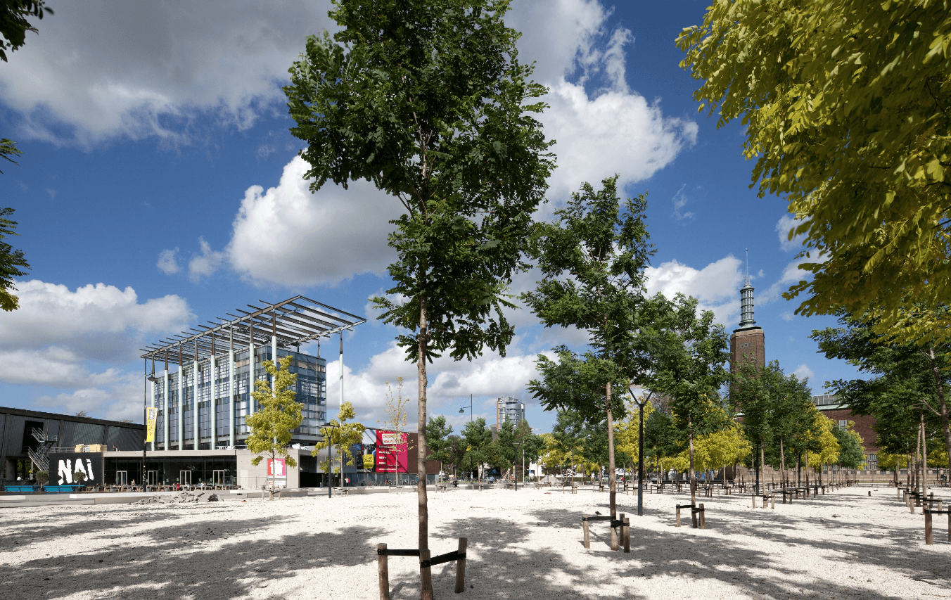 Groen Rotterdam Krant van de Aarde