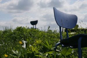 Natuur als klaslokaal