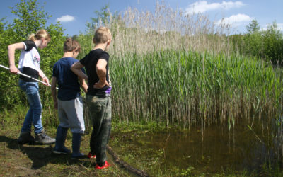 De natuur als één grote speeltuin, laat kinderen lekker buitenspelen