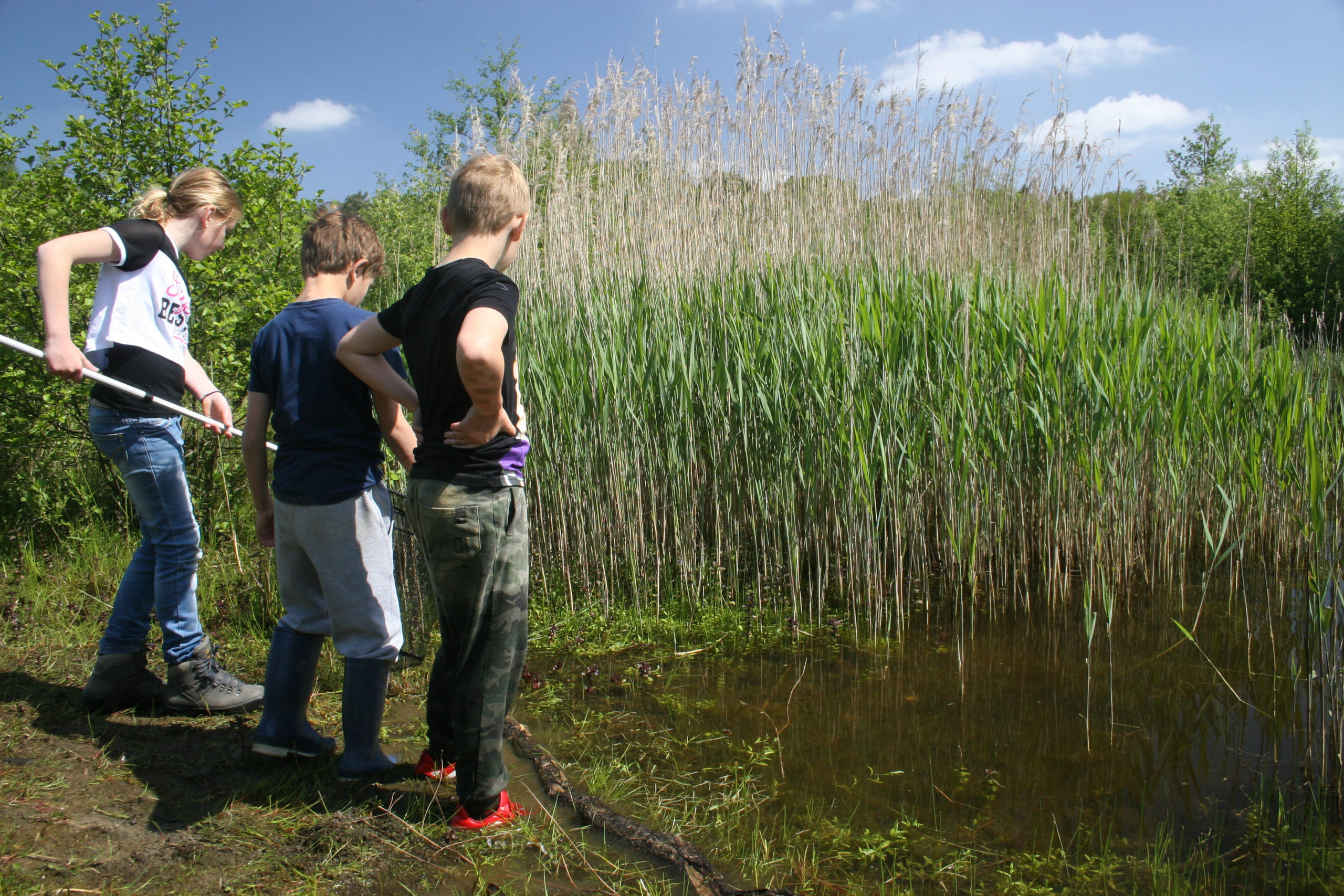 De natuur als één grote speeltuin, laat kinderen lekker buitenspelen