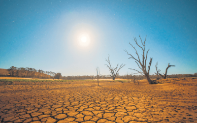 De gevolgen van klimaatverandering