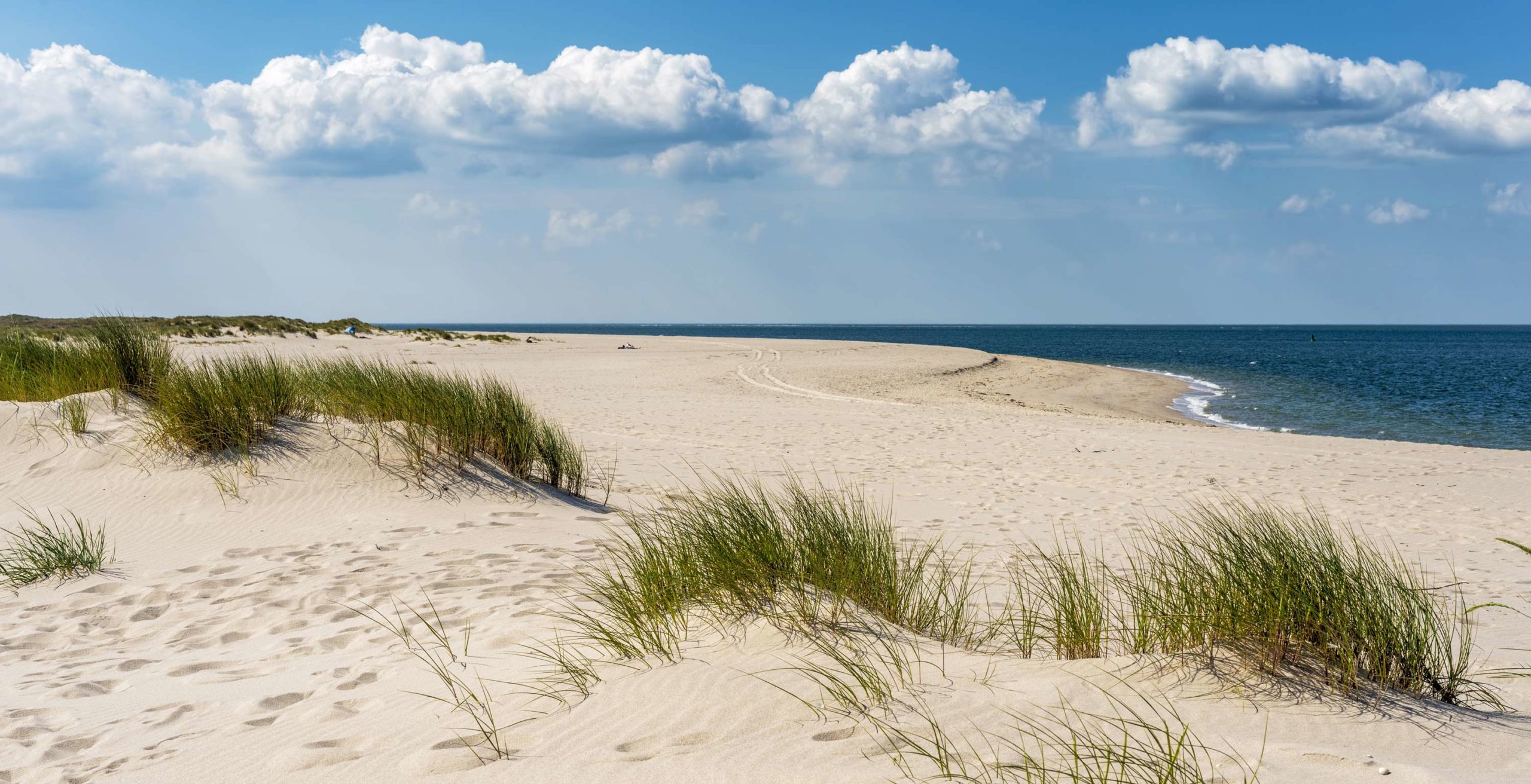 waddeneilanden