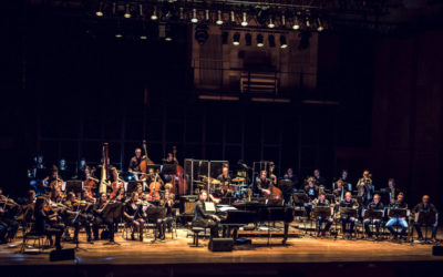 filmhommage aan de wadden