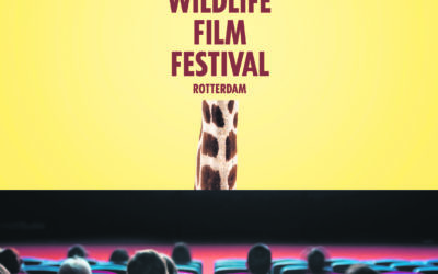 Het Wildlife Film Festival Rotterdam (dit jaar hopelijk van 27 oktober t/m 1 november) zet twee keer in de week nieuwe natuurfilms online. Op de playlist via YouTube staan inmiddels vele titels