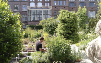 Botanische tuinen