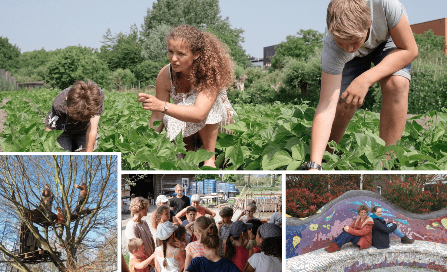 Staatsvrije vrijeschool