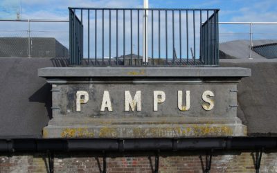 Pampus zelfvoorzienend