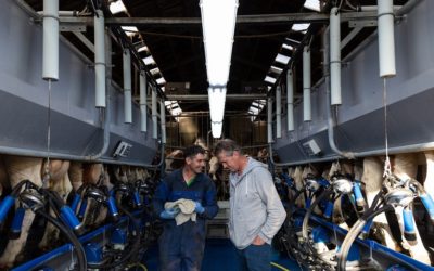 de kracht van rauwe melk