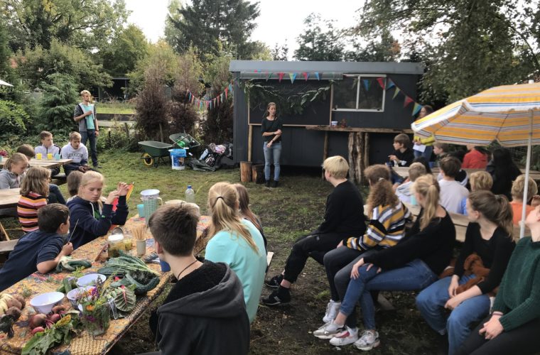 vernieuwing in het onderwijs