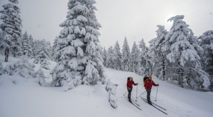 Skiwandern_im_Nationalpark_Harz_c_DZT_Michael Neumann (2) - verkleind