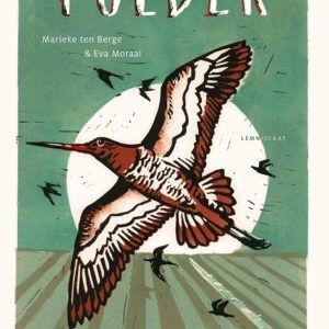 Polder