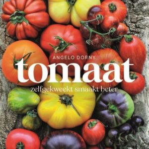 Tomaat