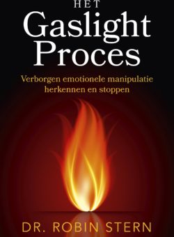 9789020220926 Het gaslight proces - cover