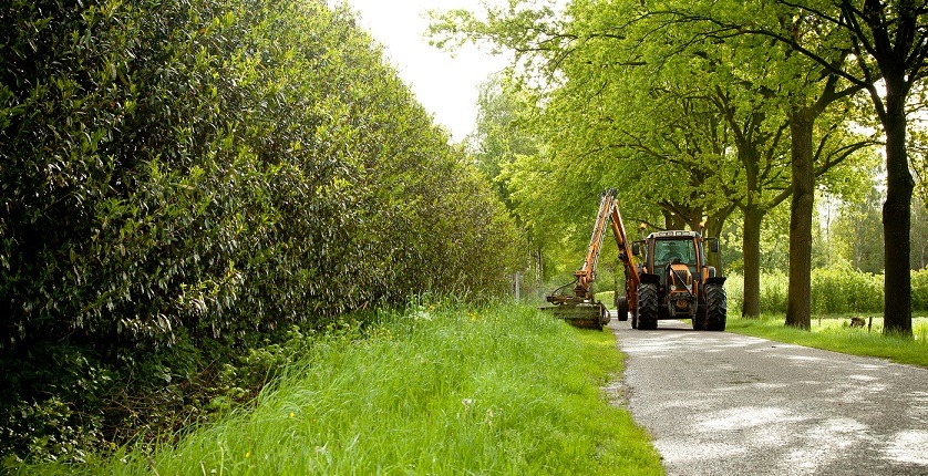 In Alphen aan den Rijn maken ze papier van gras uit de bermen in het Groene Hart.