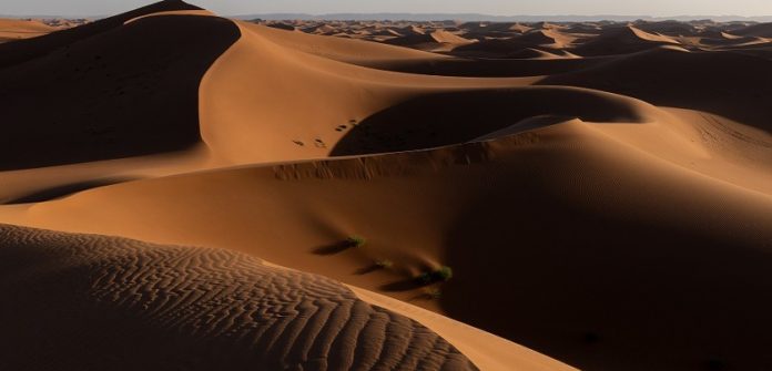 Sahara