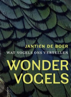 Wondervogels