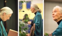 Jane Goodall