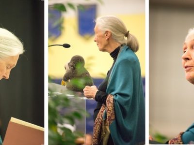 Jane Goodall