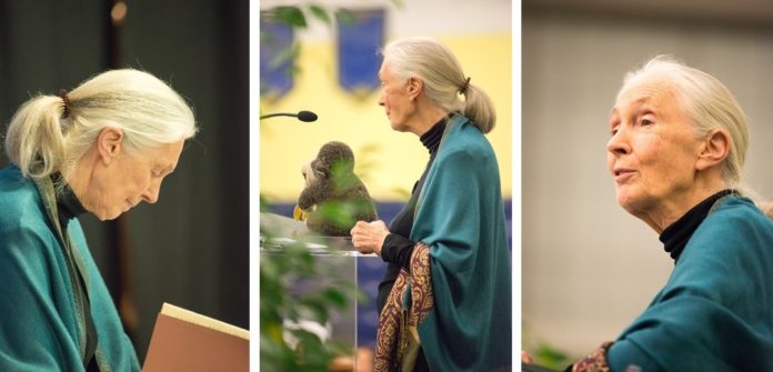 Jane Goodall