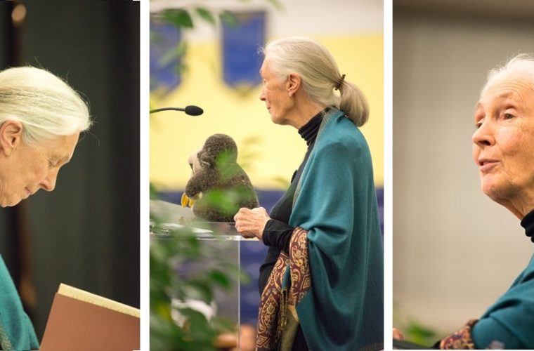 Jane Goodall