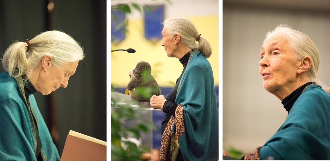 Jane Goodall