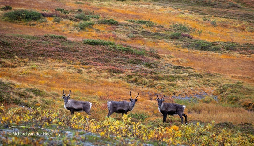 RH_2025092121_100042 - vk