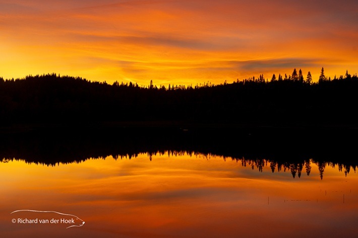 RH_2025092626_100011 - vk