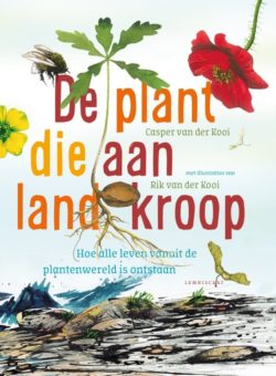 De plant die aan Land kroop