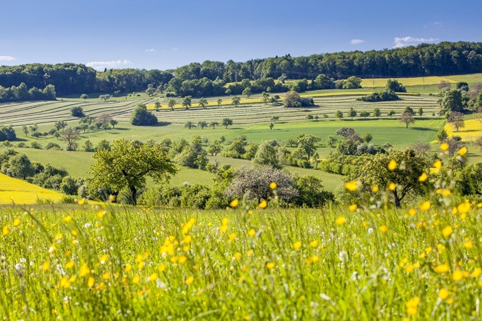 10430-Saarland-Biosph├ñrenzweckverband_Bliesgau-Elke_Dubois - vk