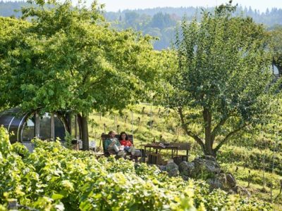 Deutsche Weinstrasse Pfalz wijndorpen