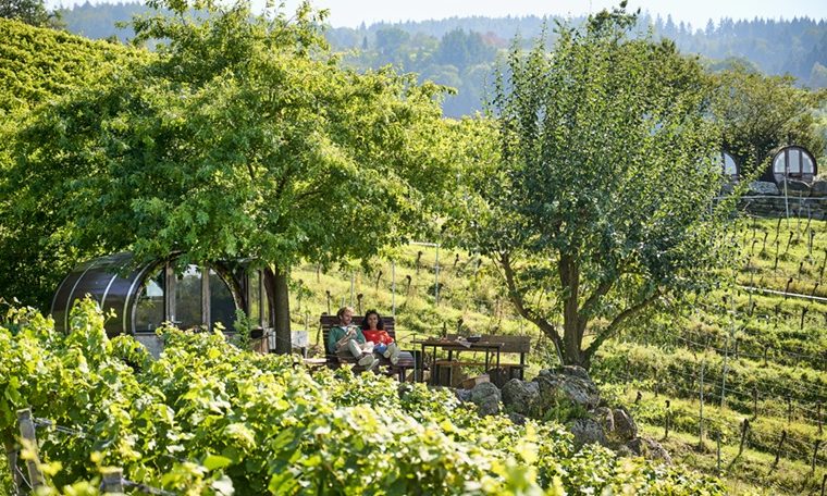 Deutsche Weinstrasse Pfalz wijndorpen