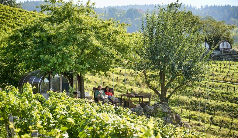 Deutsche Weinstrasse Pfalz wijndorpen