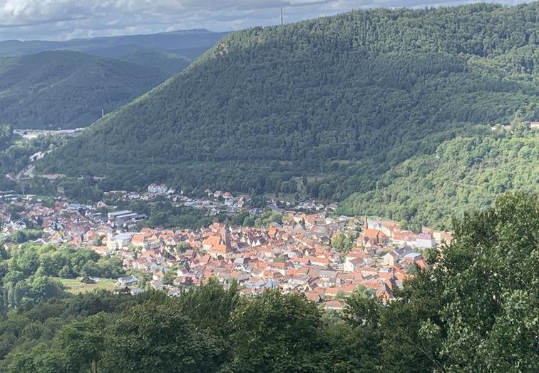 IMG_1663 - vk Pfälzerwald wandelen natuur